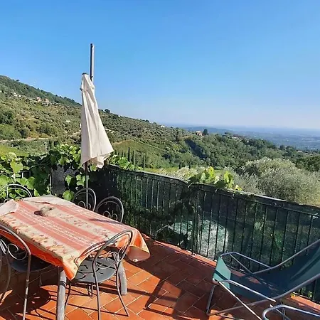 Al Vecchio Metato Proprieta